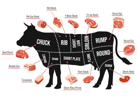 steak parts of cow diagram
