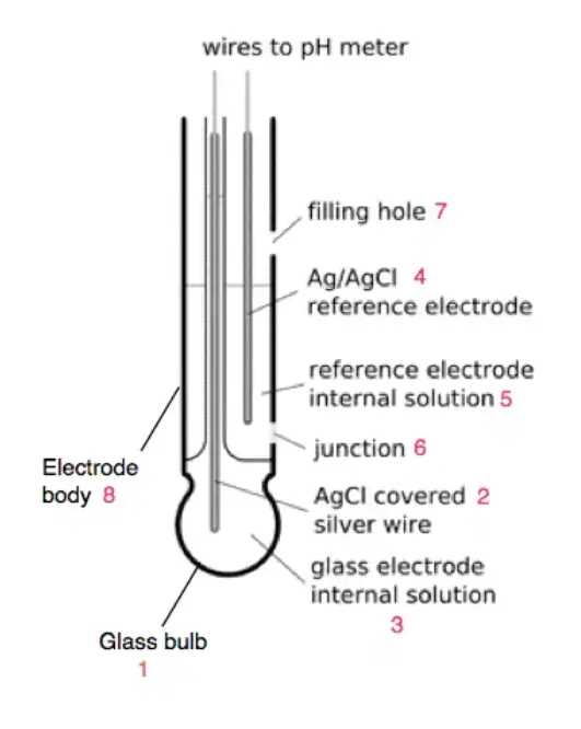 lab equipment part 1 diagram crossword answers