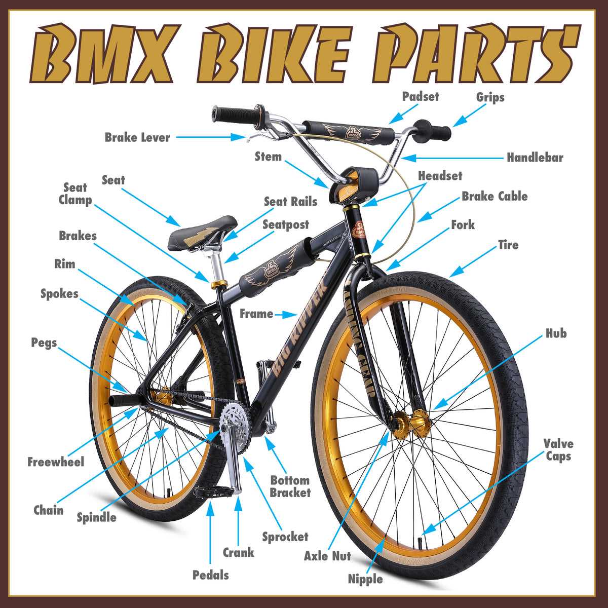 bike parts names diagram