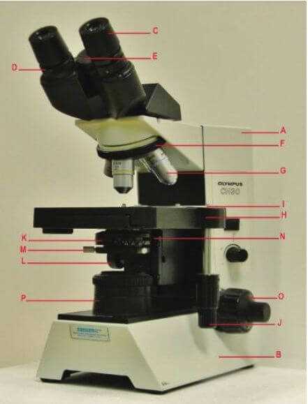 parts of a microscope diagram