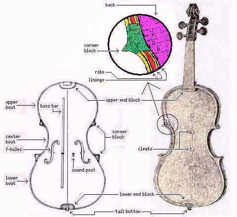 cello parts diagram