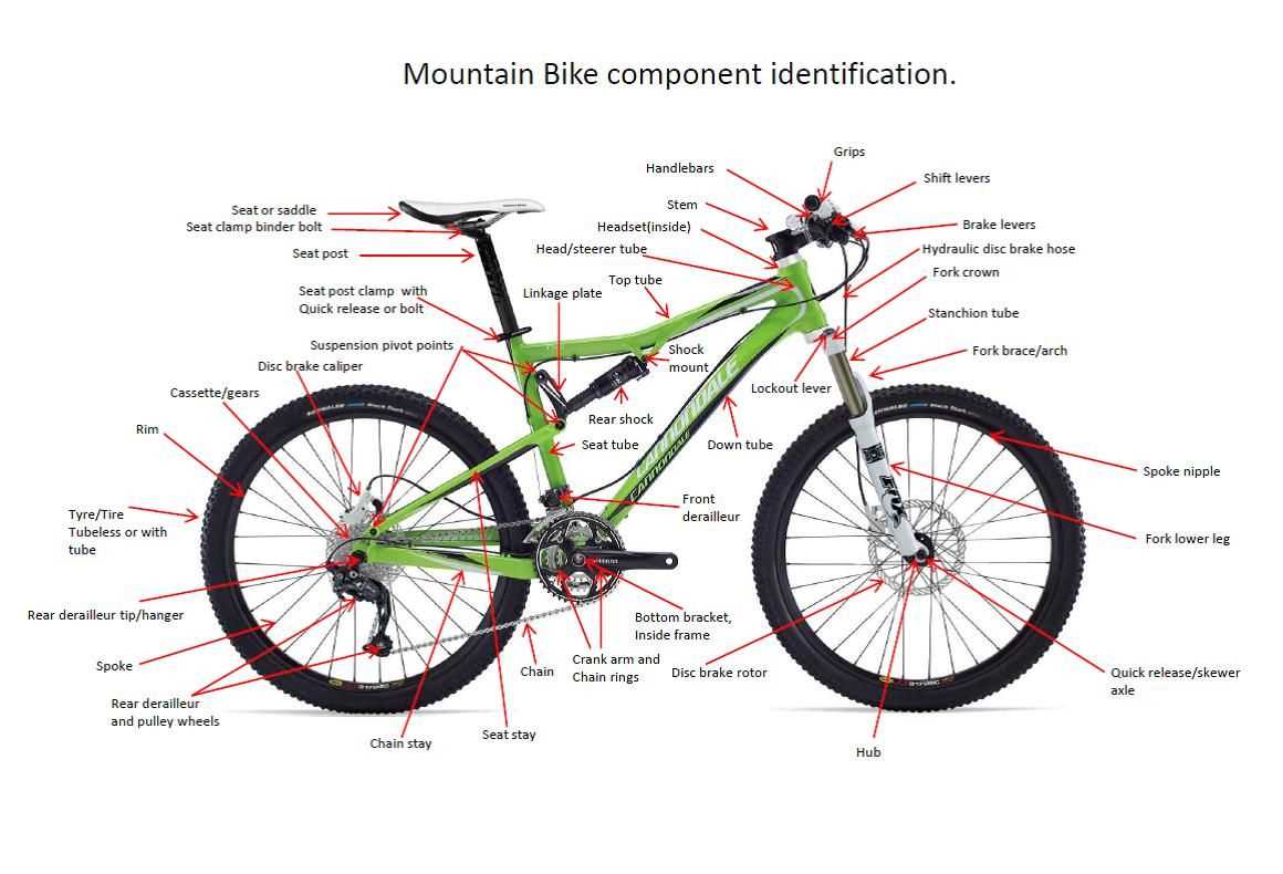 mountain bike parts diagram