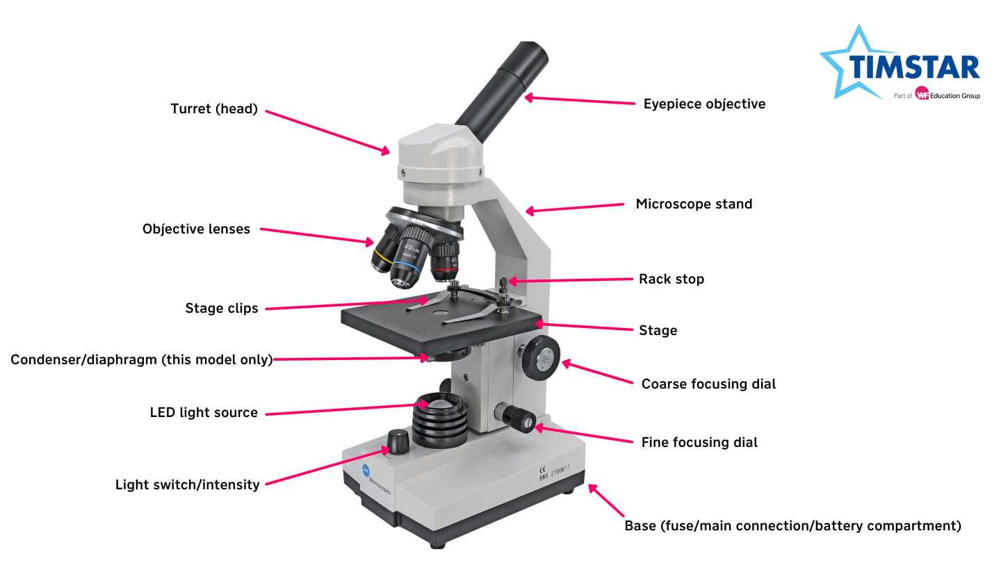 parts of a microscope diagram