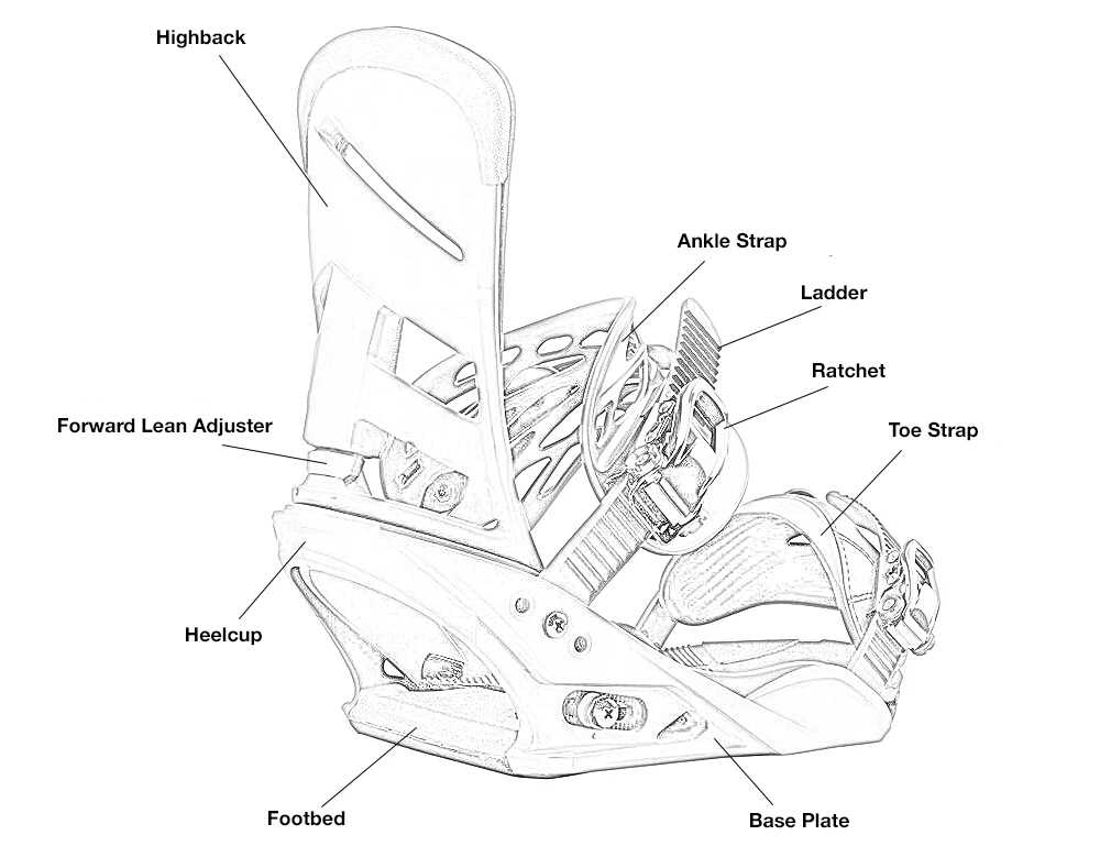 snowboard parts diagram