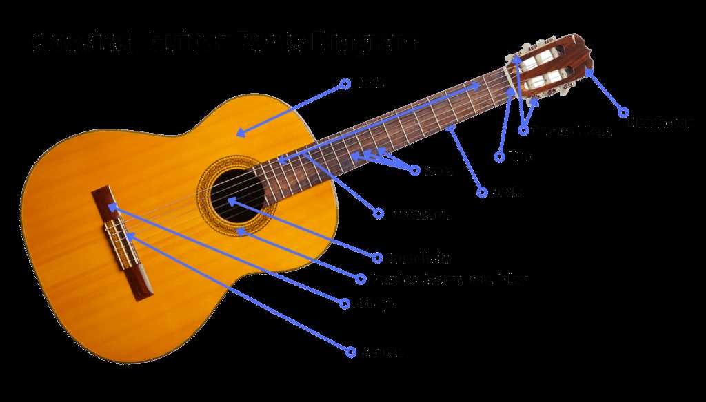 gibson les paul parts diagram