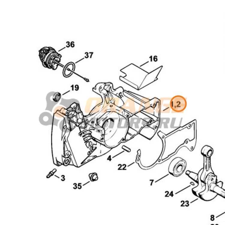 ms260 parts diagram