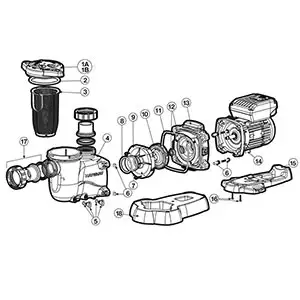 hayward northstar pump parts diagram