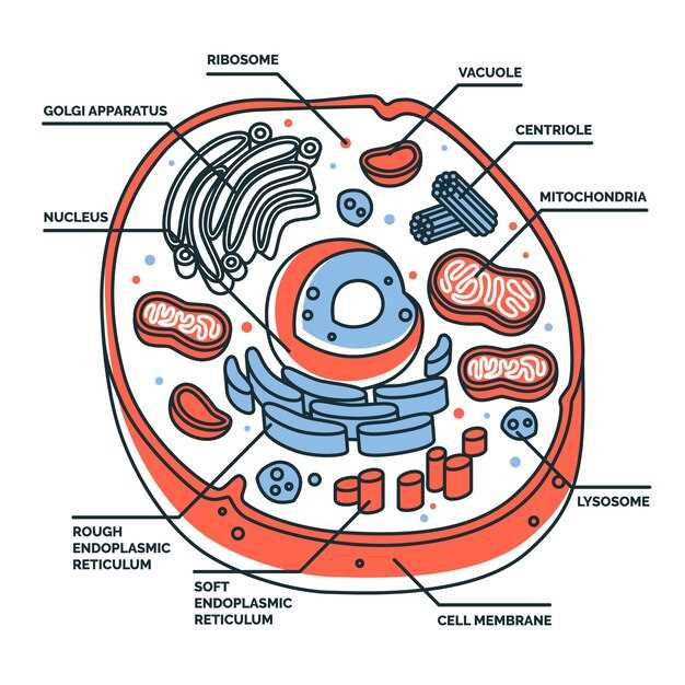 animal cell diagram parts