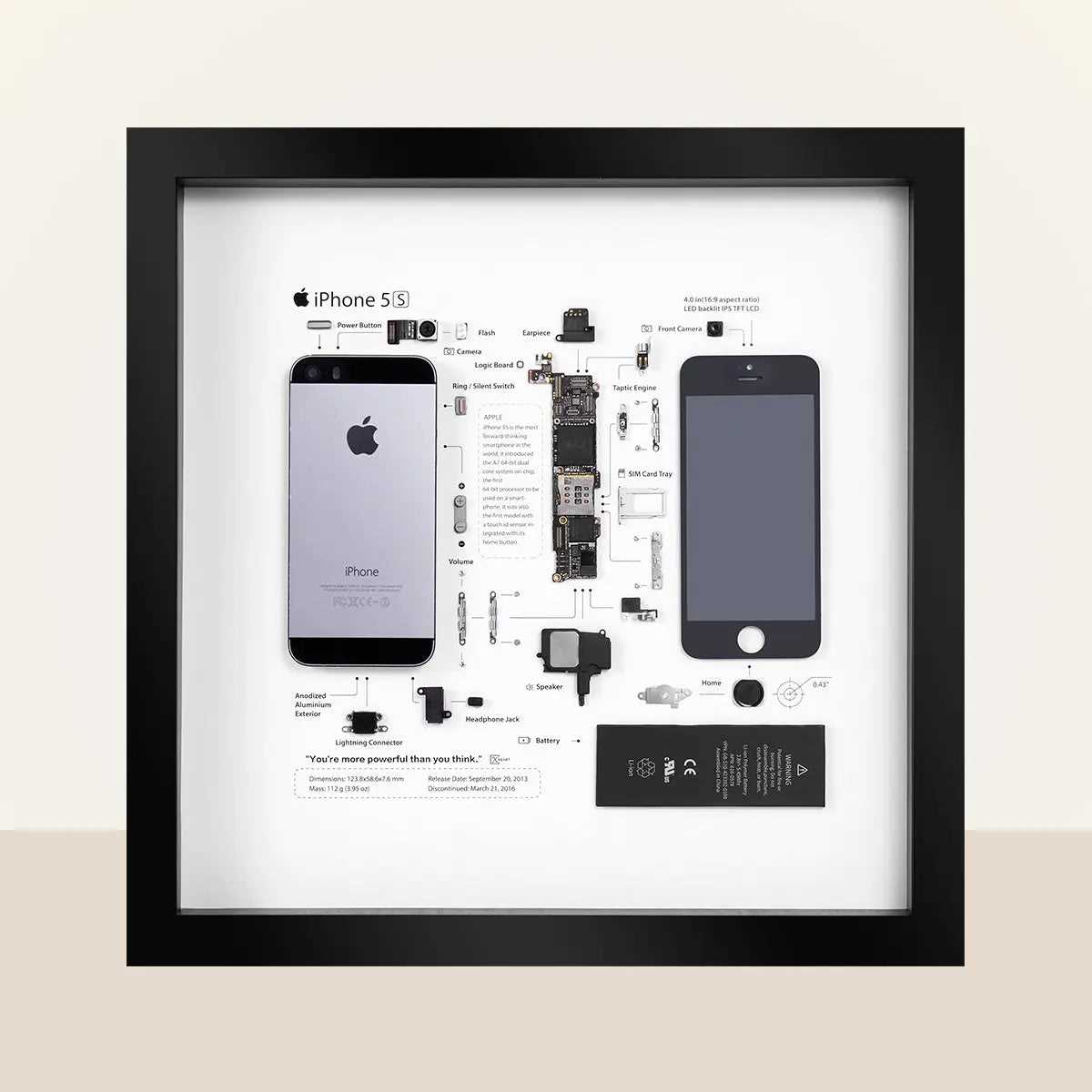 iphone 5s parts diagram