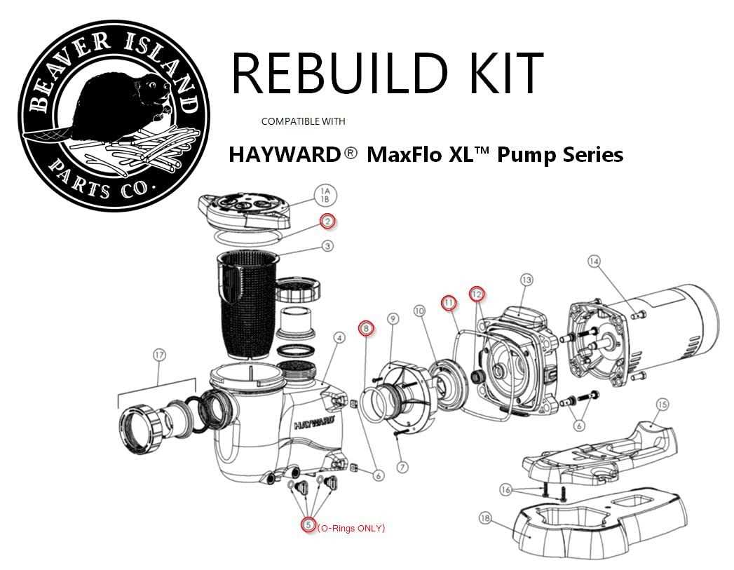 hayward northstar pump parts diagram