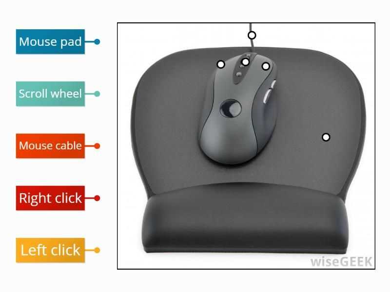 computer mouse parts diagram