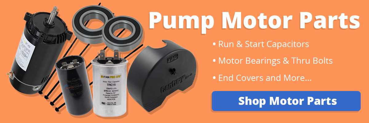 ao smith pool pump motor parts diagram