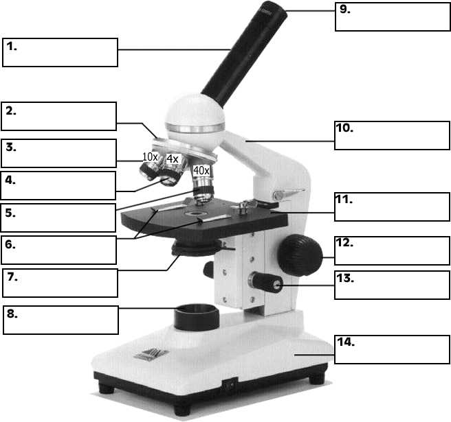 parts of the microscope diagram