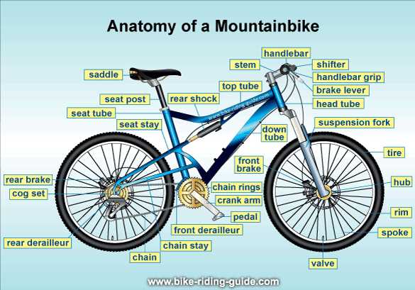 names of bike parts diagram