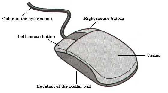 computer mouse parts diagram