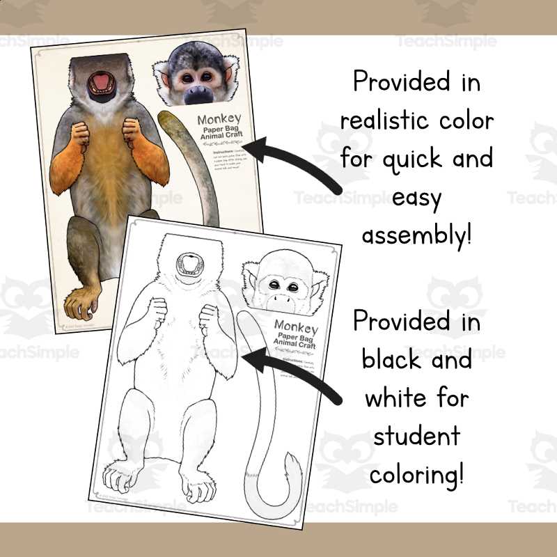 spider monkey body parts diagram