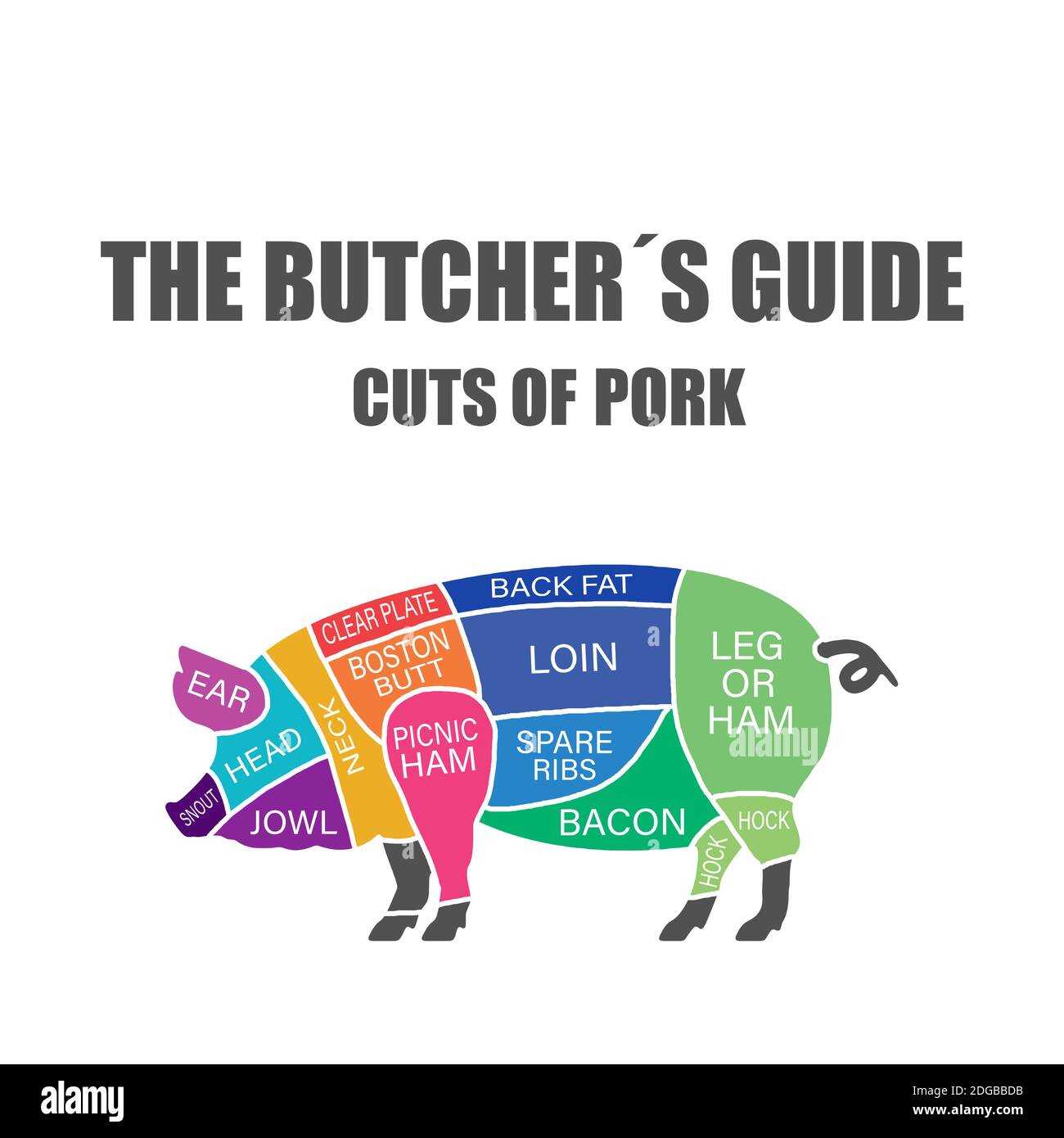 pork meat parts diagram