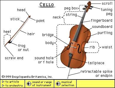 cello parts diagram