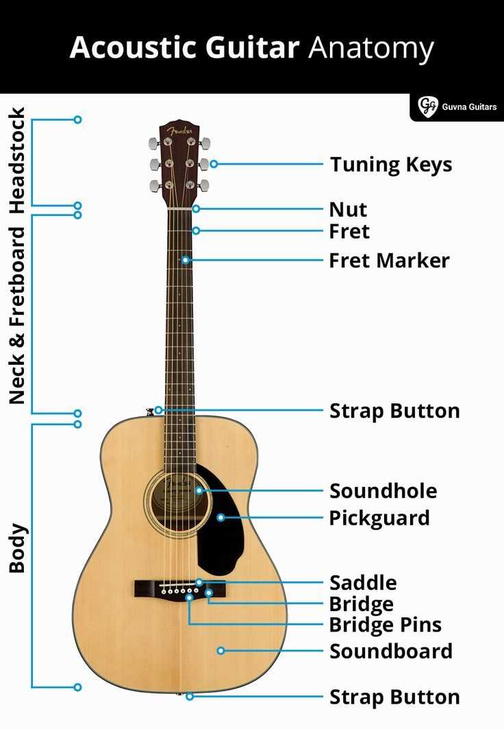 parts of a acoustic guitar diagram
