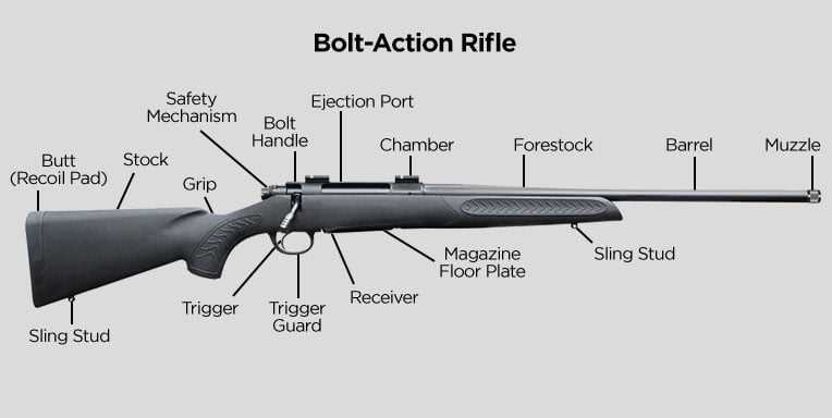 parts of a firearm diagram