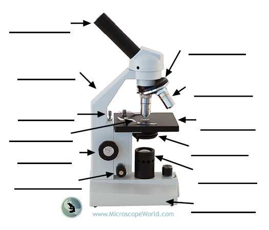 parts of a microscope diagram