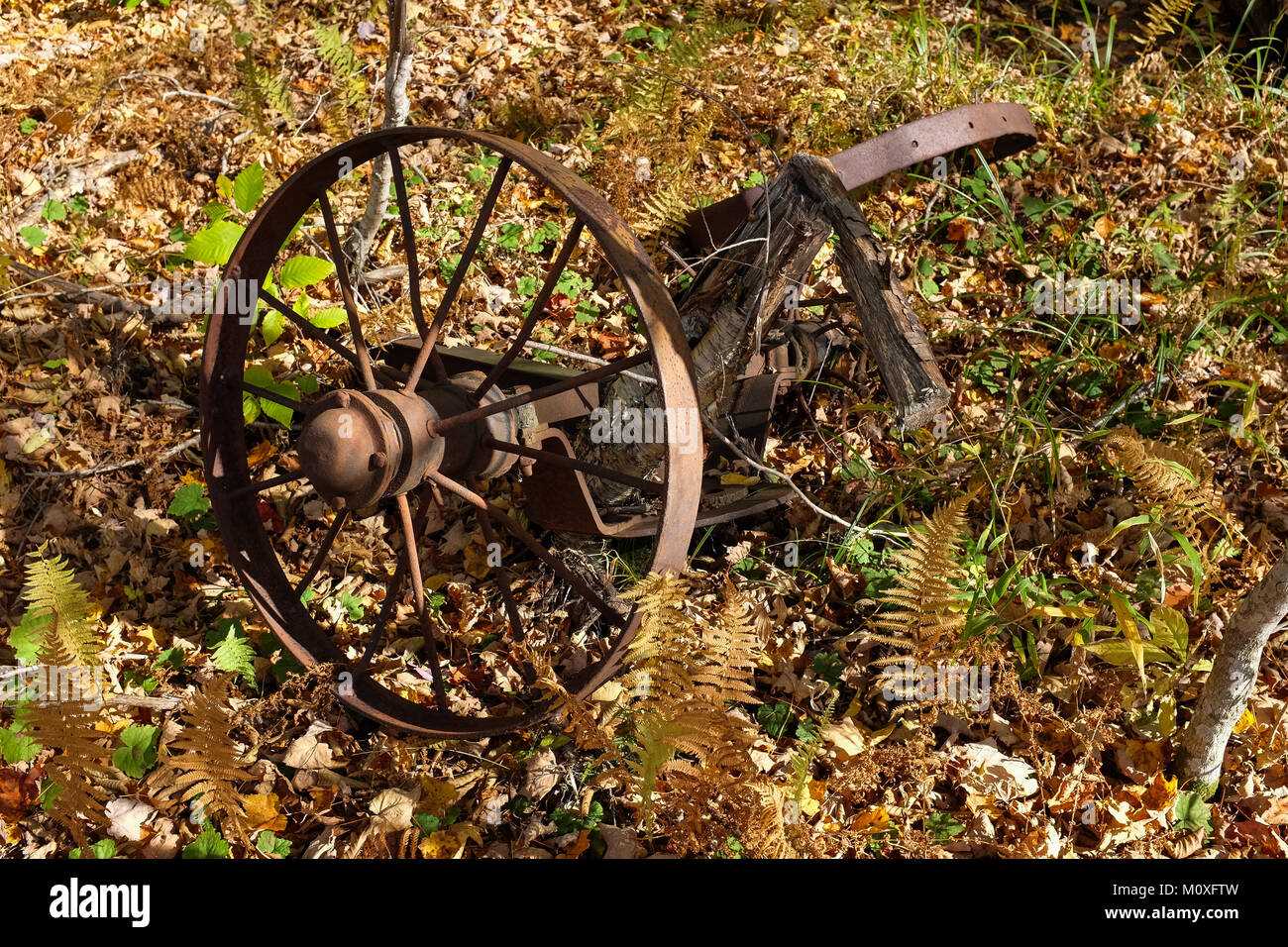 parts of a wagon wheel diagram