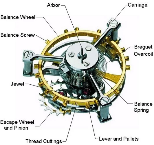 parts of a watch band diagram