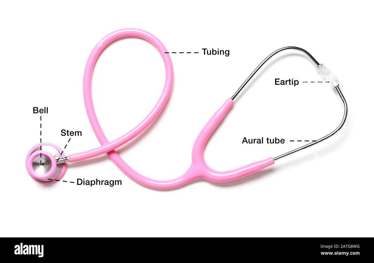 parts of stethoscope with diagram