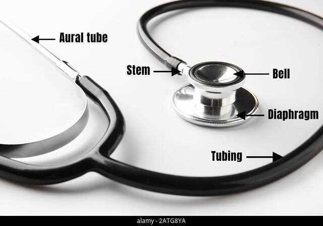parts of stethoscope with diagram