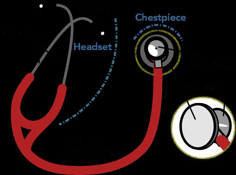 parts of stethoscope with diagram