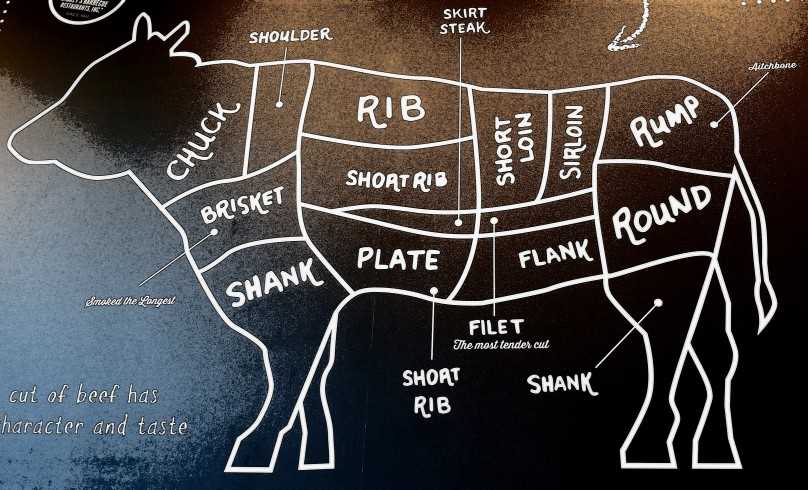 parts of the cow diagram