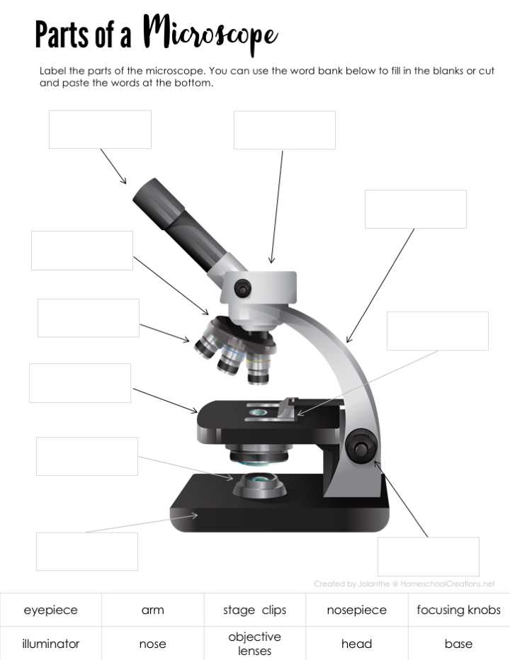 parts of the microscope diagram