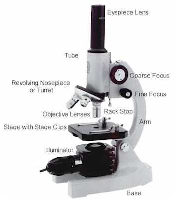 parts of the microscope diagram