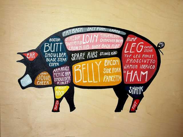 pork meat parts diagram