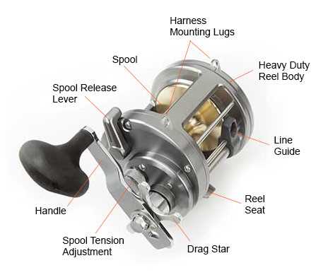 reel diagrams parts lists