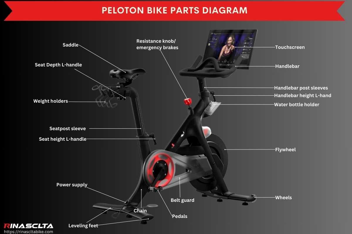 peloton bike parts diagram pdf