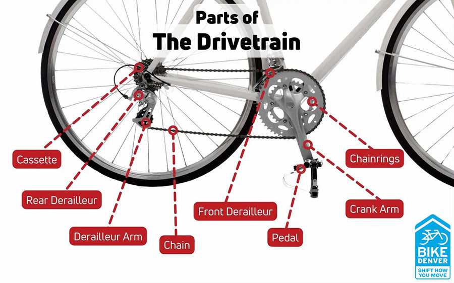 single speed bike parts diagram