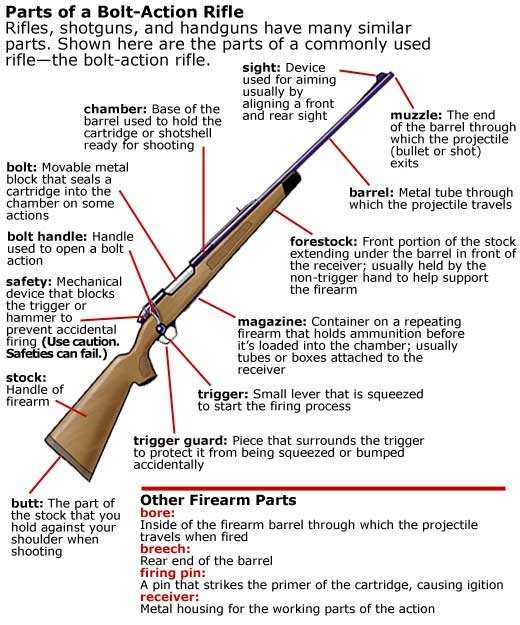 sks parts diagram