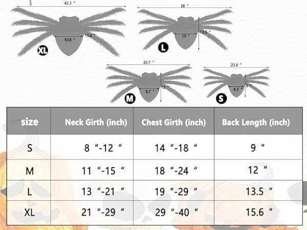 spider body parts diagram for kindergarten