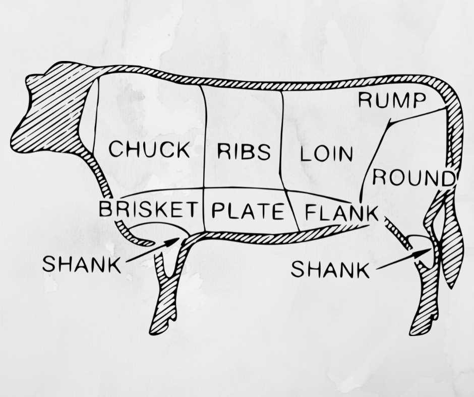 parts of the cow diagram