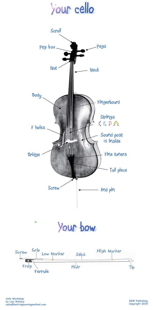 cello parts diagram