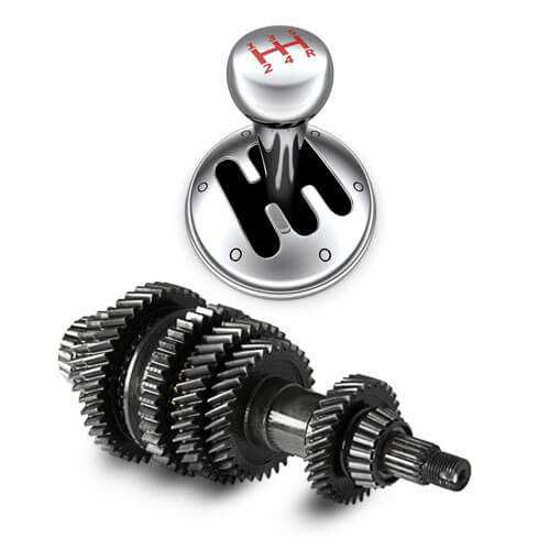 vag parts diagram