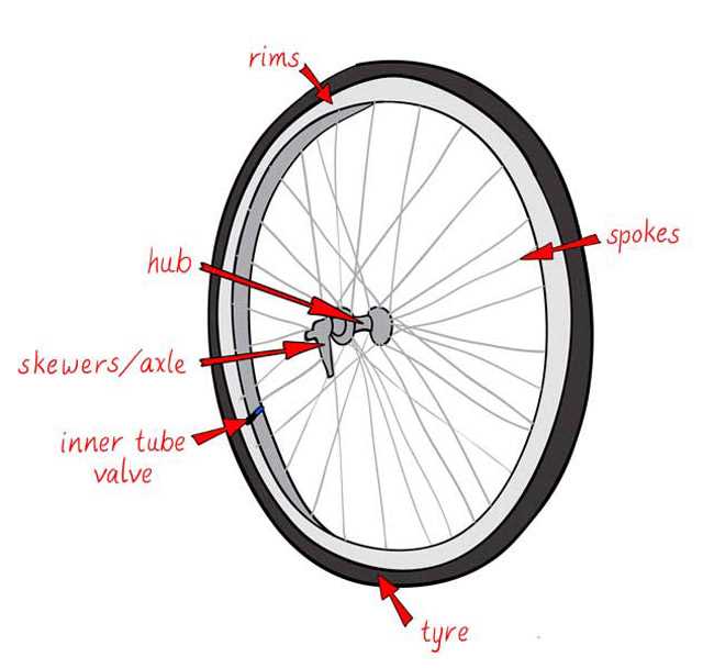 tyre parts diagram