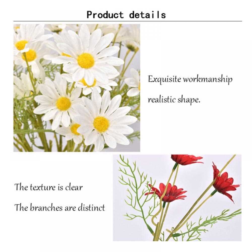 parts of a daisy flower diagram