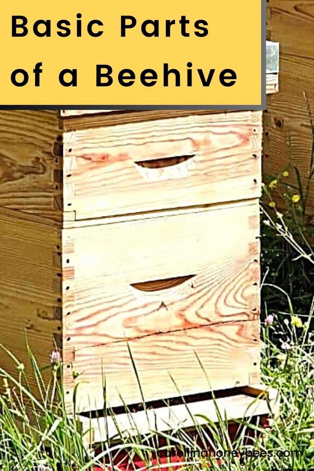 beehive parts diagram