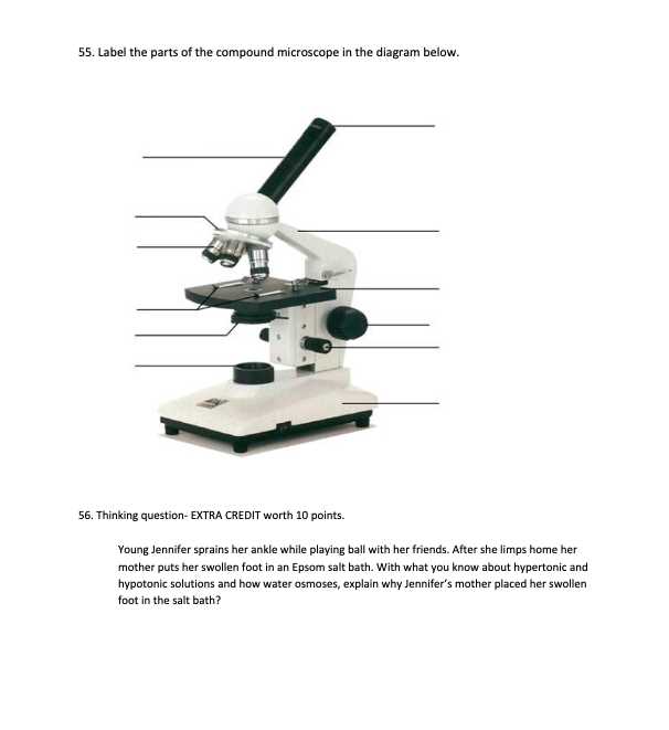 parts of a microscope diagram