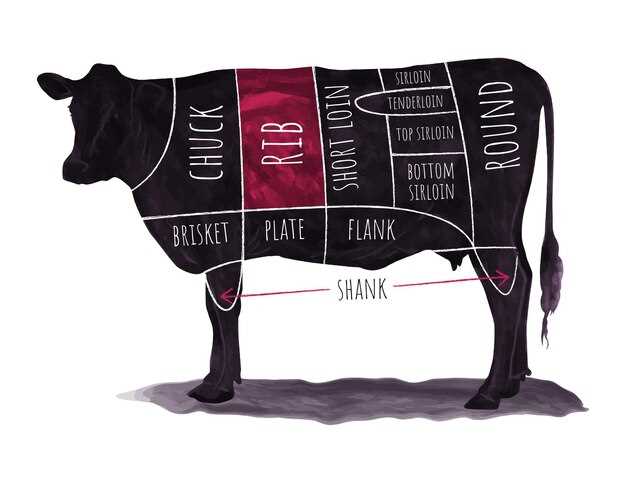 steak parts of cow diagram