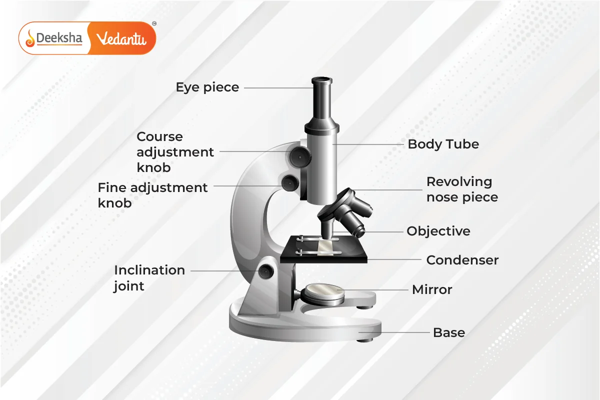 parts of a microscope diagram