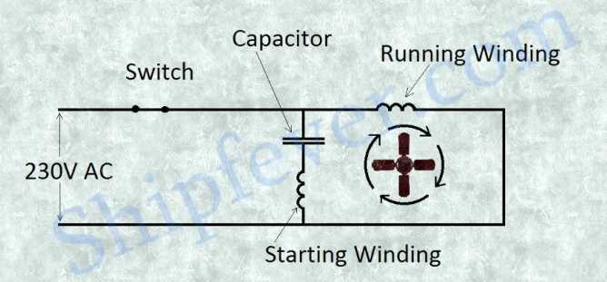 belle minimix 150 parts diagram