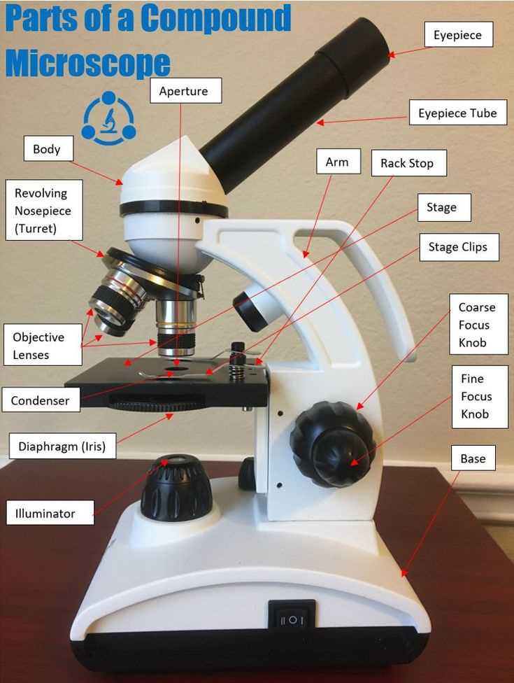 parts of the microscope diagram